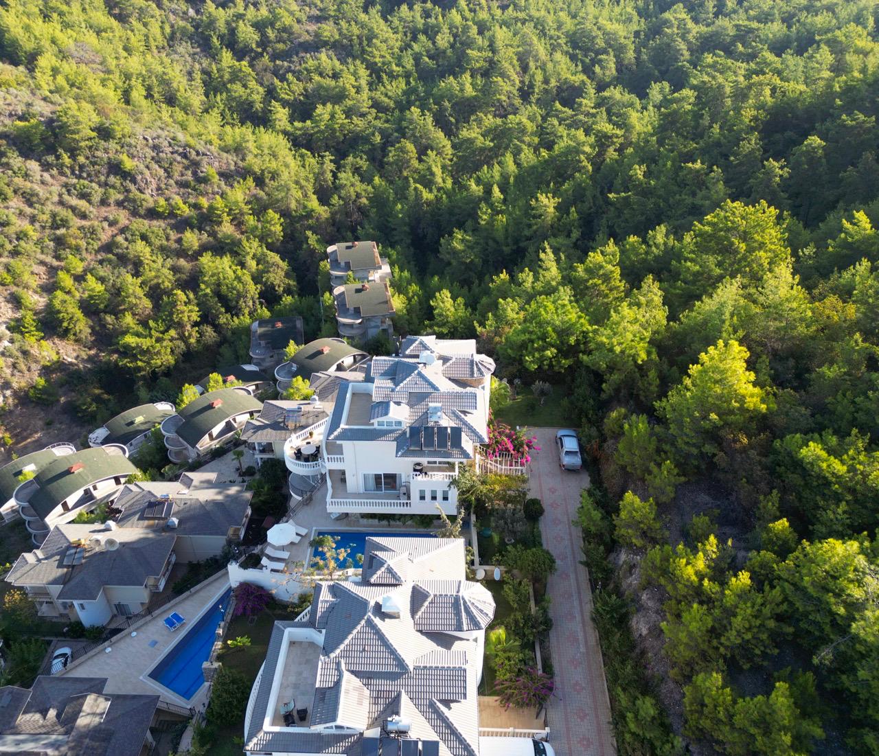 Vila Marbela among pines