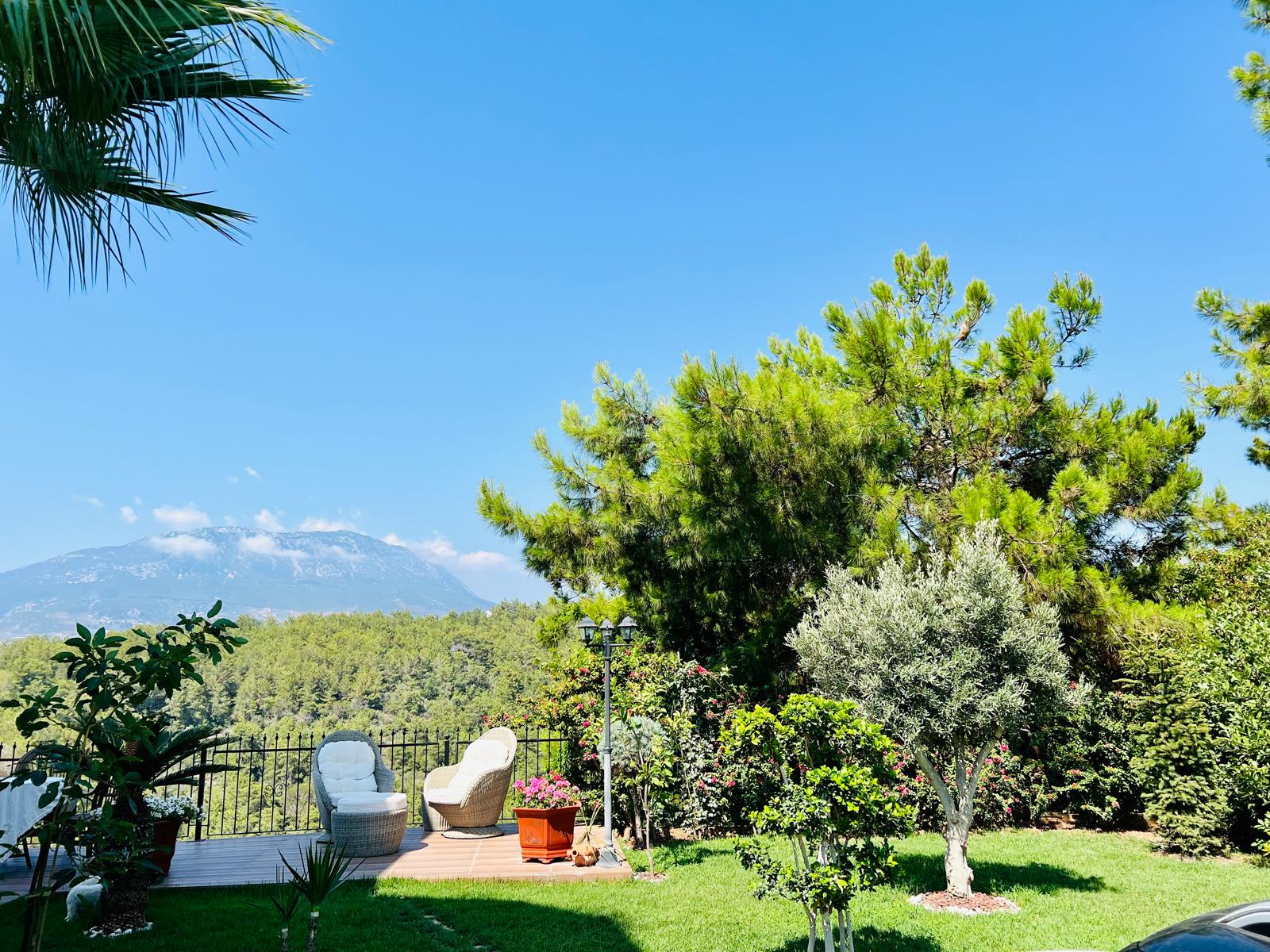 Garden and mountain view